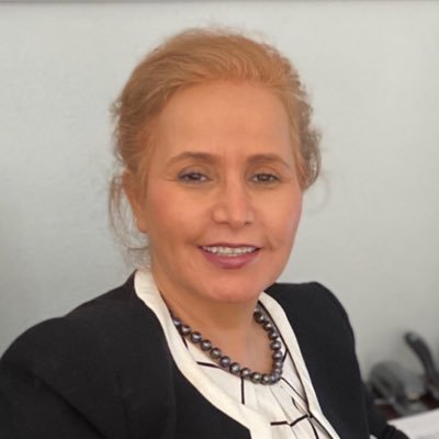 Vietnamese Lawyer in California - Parvin Wiliani-Malek